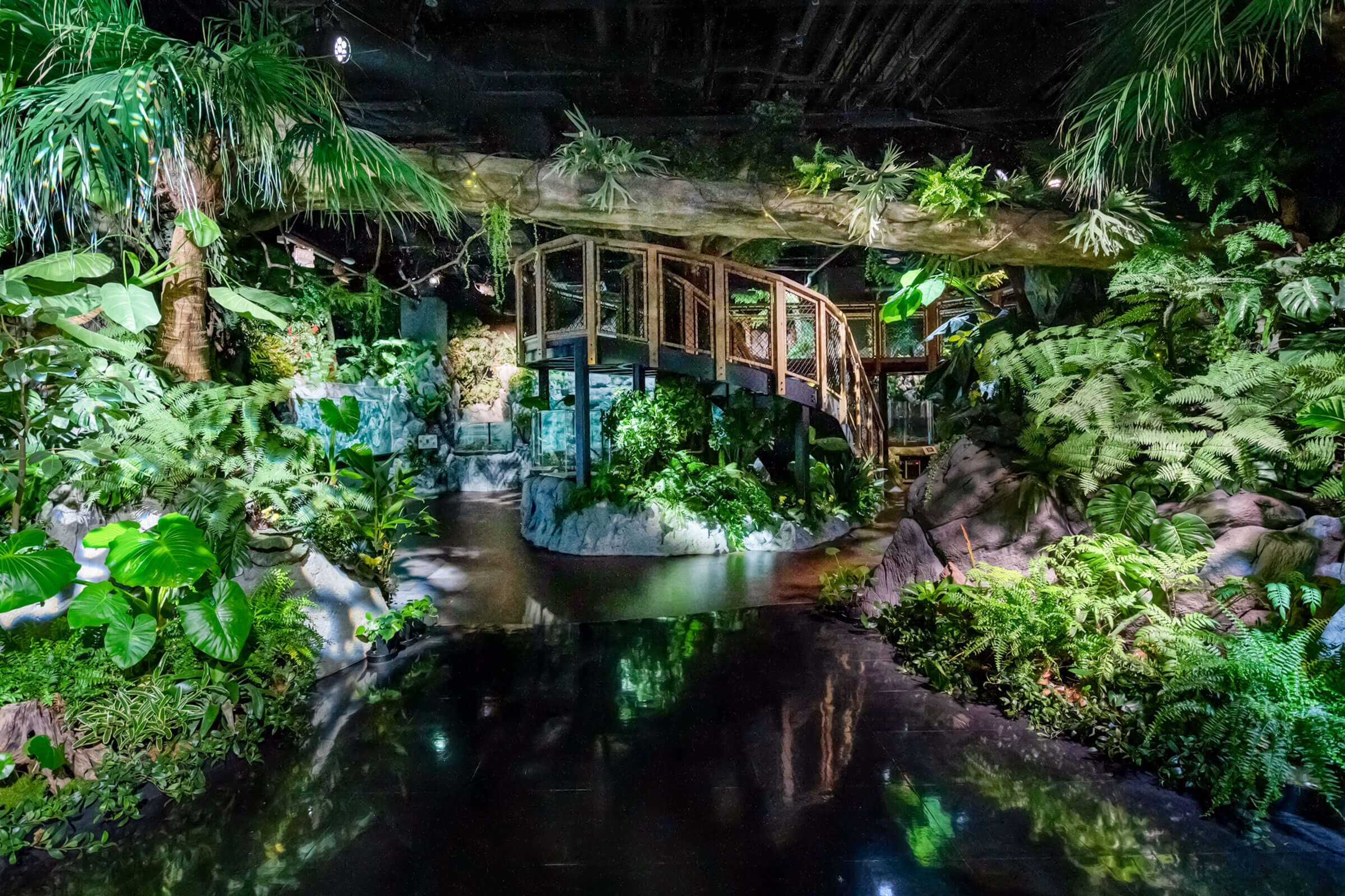 DMMかりゆし水族館 入館チケット