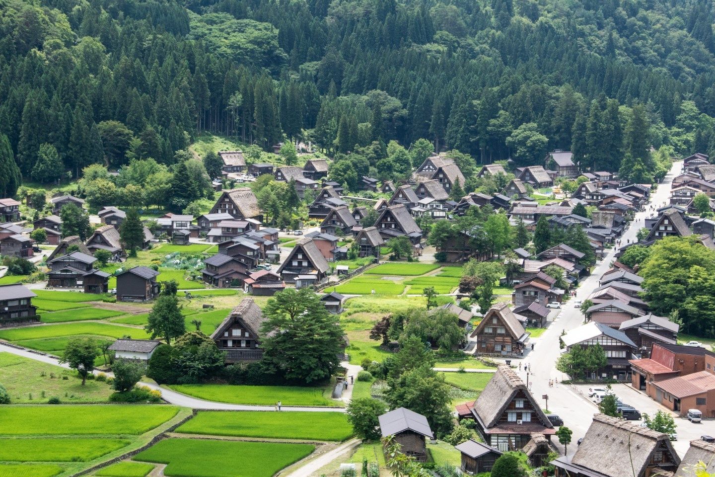 白川乡线巴士电子车票